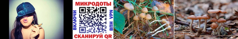 Галлюциногенные грибы Magic Shrooms  Волгоград 