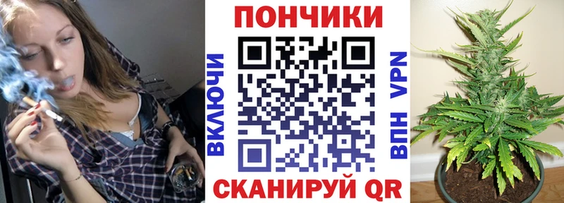 купить наркотики сайты  Волгоград  Бошки марихуана конопля 